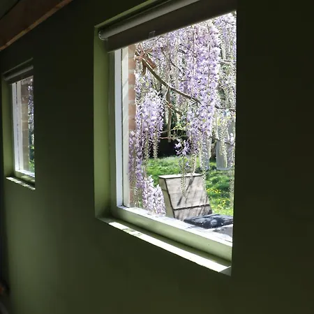 1 For 2 Nederhorst den Berg