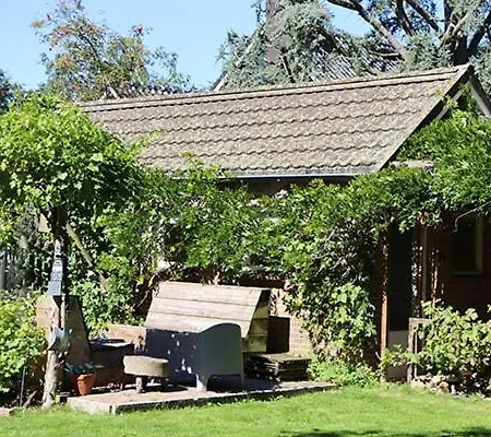 1 For 2 Bed & Breakfast